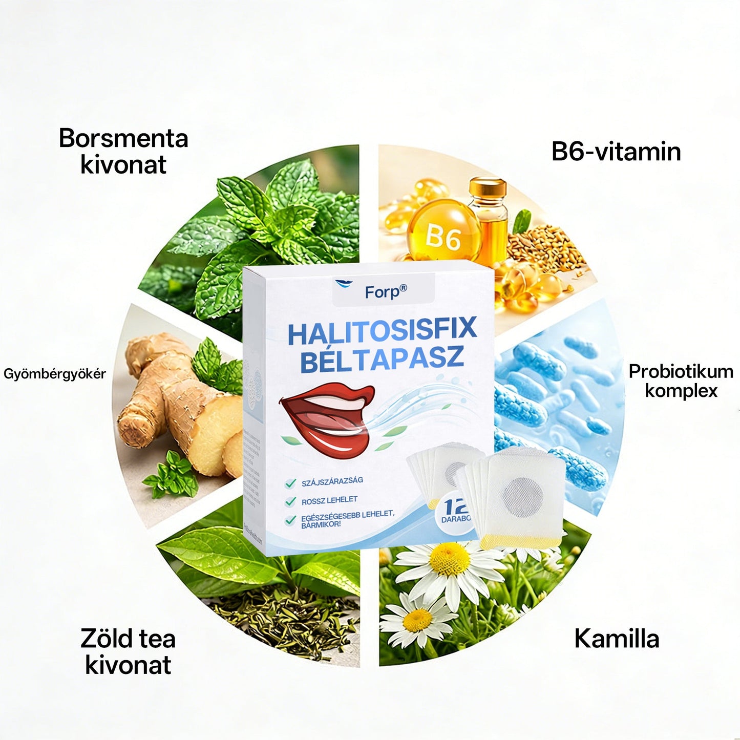 🔥Legnépszerűbb🔥Forp® Halitosis Fix Gut Tapas🎉Különleges, korlátozott ideig érvényes kedvezmény-🌻