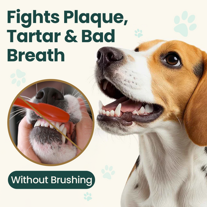 🐶🐱Pawnera™ szájápoló spray kutyáknak és macskáknak –🌿 fogmosás nélkül frissebb lehelet